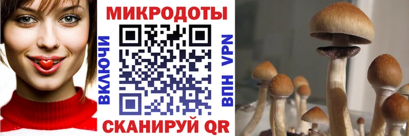 Псилоцибиновые грибы MAGIC MUSHROOMS  хочу наркоту  Щёкино 